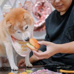 ペットフォト！