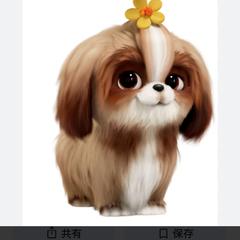 犬飼ってます