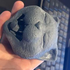 猫のあくび