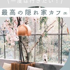 Instagram 投稿画像