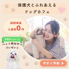 犬好きの心をつかむSNS向け広告デザイン