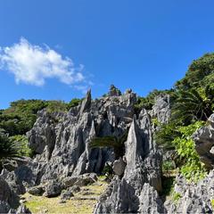 沖縄石林山