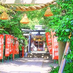 木漏れ日が差す神社