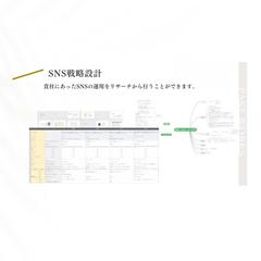SNS戦略設計