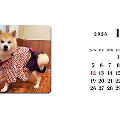 秋田犬ジェイのWEBカレンダー壁紙