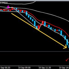 利益確定の様子