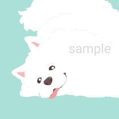サモエドさん
