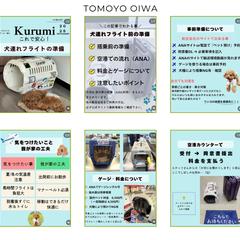 犬連れ旅行インスタ記事