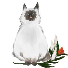 webサイト用イラスト
