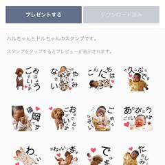 私の娘と愛犬のLINEスタンプ作成