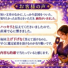お客様の声・レビュー 