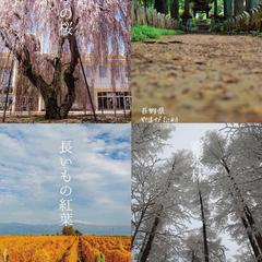 自治体観光ポスター