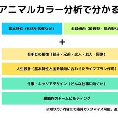 アニマルカラー分析完全版作成