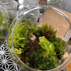 お花などの写真を撮るコツ教えます♪