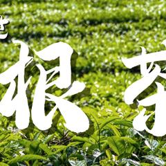 川根茶WEB広告バナー