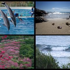 撮影代行その③