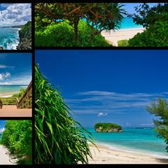 撮影代行その⑤