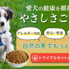 自主制作LPヘッダー｜ペットフード