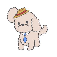 マルクくん