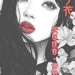 俳句集「帰り花」Kindle出版・表紙デザイン制作