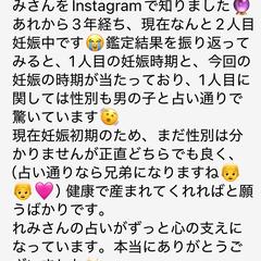子宝鑑定