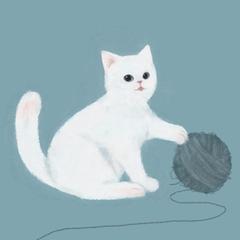 毛糸玉で遊ぶ子猫