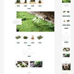 コケリウム・パルダリウム・苔の販売サイトを作成