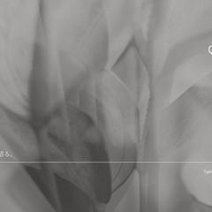 Quiet Form｜Typography 