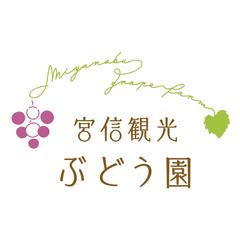 宮信観光ぶどう園様：サイトリニューアル&ロゴ制作