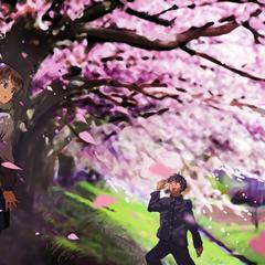 桜と人物