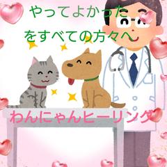 犬猫向けレイキヒーリング
