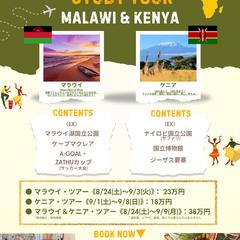 AfricaTravelのチラシ作成