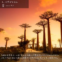 AfricaTravelのInstagram投稿作成