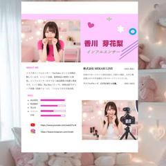 インフルエンサーのレジュメ