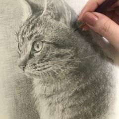 猫の写実画（鉛筆画）