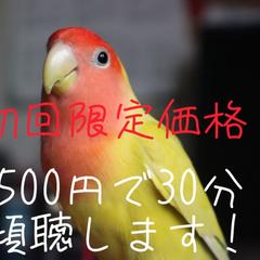 メルマガやってます!登録者様にはお得な30分傾聴サービス付!