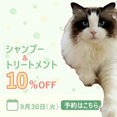 ペットショップのキャンペーン｜サムネイル｜バナー｜広告