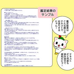 【鑑定サンプル】お届けする3枚引き鑑定結果のイメージ