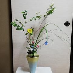 新風体立花