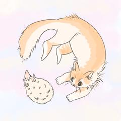 ハリネズミと長毛のネコ