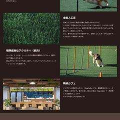 ドッグランのLP