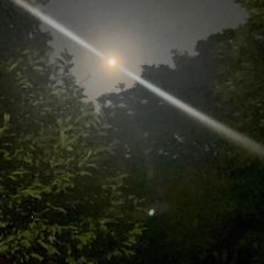 月