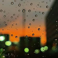 向こう側の雨降り