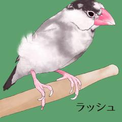 ペットイラストのご依頼実績