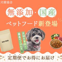 ペットフード新登場　バナー