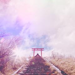 箱根神社本宮