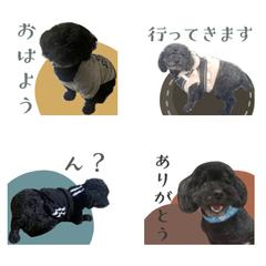 LINEスタンプデザイン