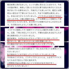鑑定の感想