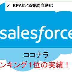 SFやExcel・他システムを伴う業務自動化（RPA）