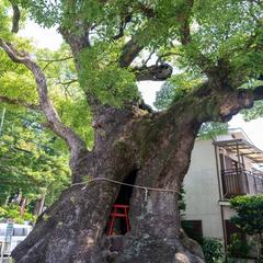 深呼吸の導き